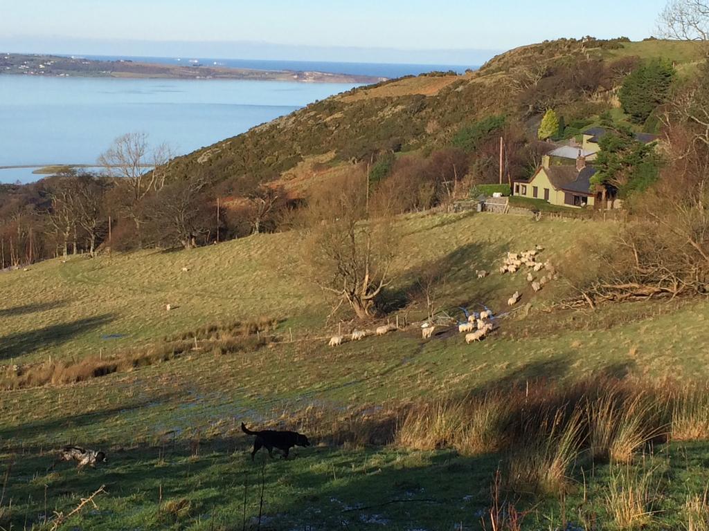 Rhiwiau Guesthouse Llanfairfechan Exterior photo